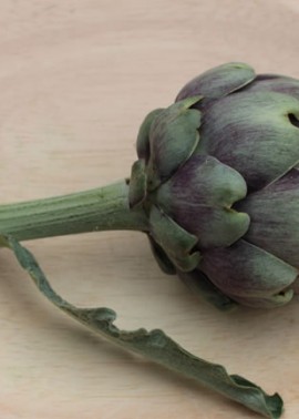 Artichoke ‘Green Globe’ 2