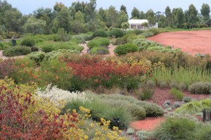 Part of The Australian Garden at the Botanic Gardens in Cranbourne Victoria