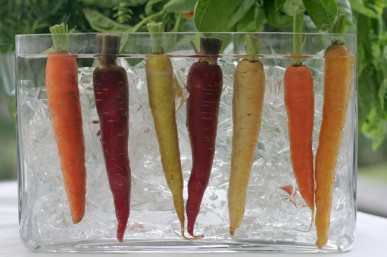 Cruncy, multi-coloured heirloom carrots