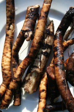 Washed comfrey roots