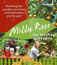 The Thrifty Gardener