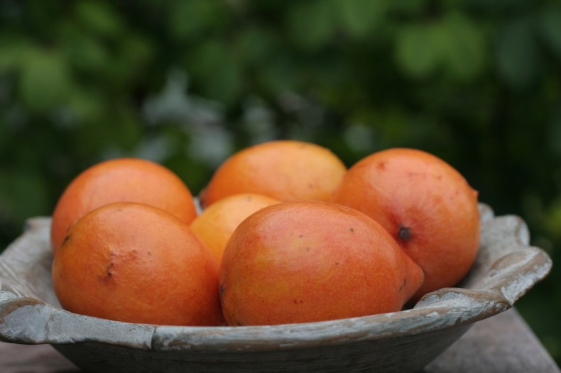 Terracotta coloured achacha fruit