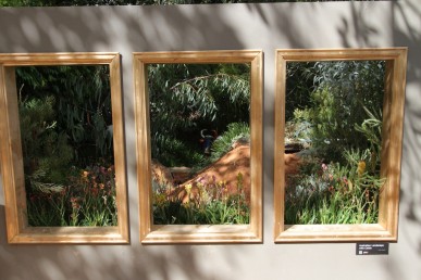 A triptych in the Tree and Shrub Growers and Yates display garden