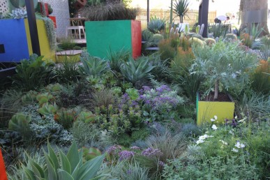 Cubeism by Phillip Withers, Semken Landscaping and Gardenworld