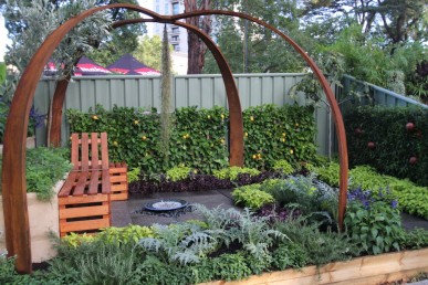 Student garden with a lovely combination of edible and ornamental plants