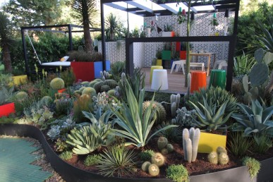 The delightful and very different succulent garden