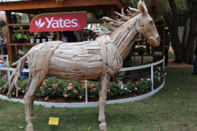 Teak wood horse from recycled teak wood pieces