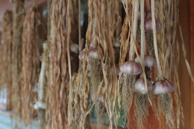 Hang to dry in a shaded airy position