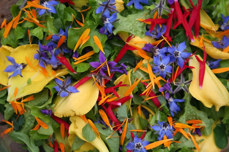 Delicious edible flowers