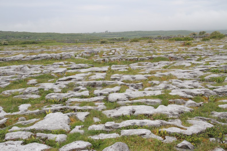 The Burren, showing clints and grikes