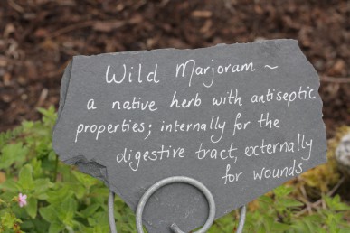 Wild marjoram sign